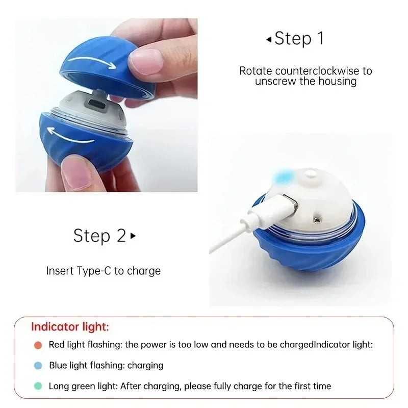 DogsHub Smart Bouncing Dog & Cat Toy Ball Chewing Resistant