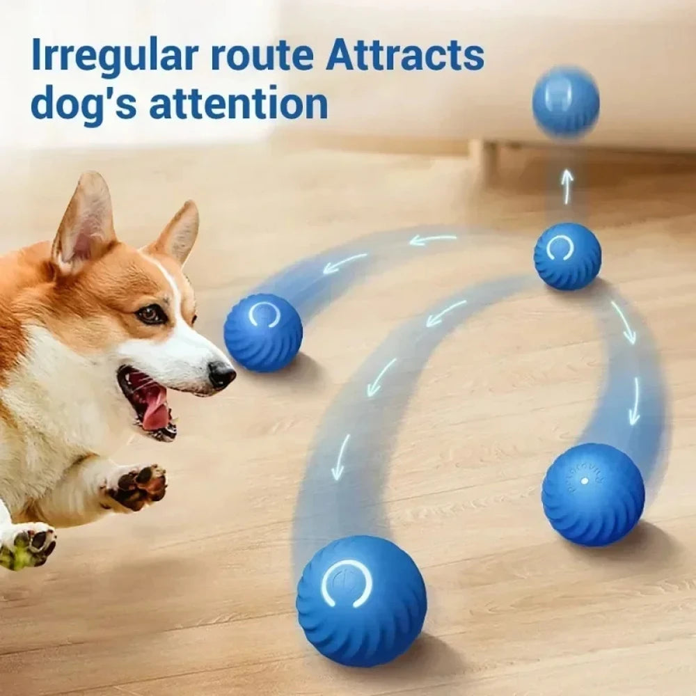 DogsHub Smart Bouncing Dog & Cat Toy Ball Chewing Resistant